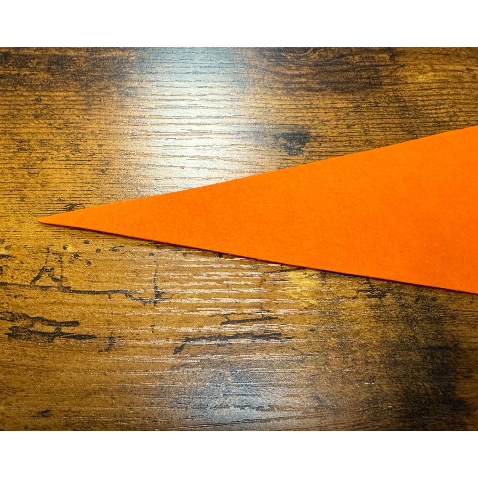 Vintage Planitarium pennant