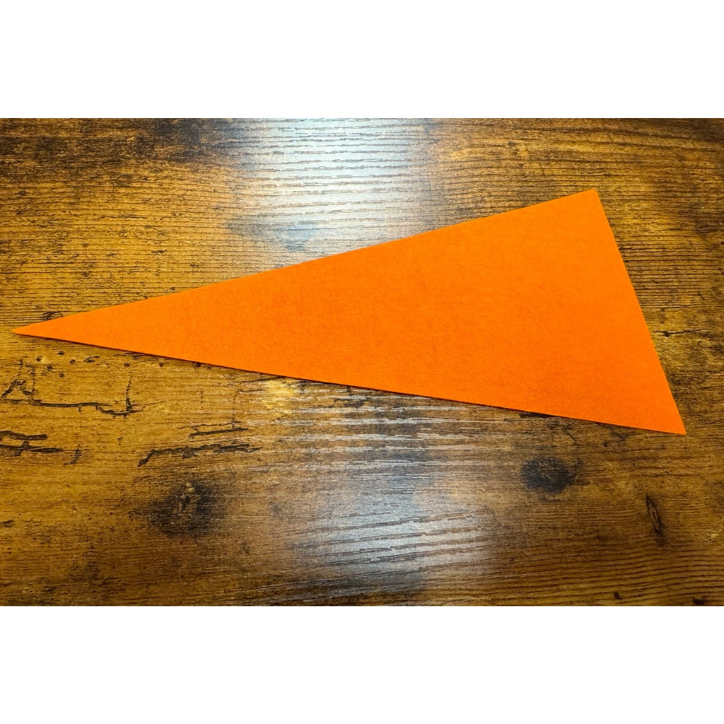 Vintage Planitarium pennant