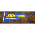 Vintage Denver Nuggets NBA Pennant With Skyline Logo & Rainbow Design