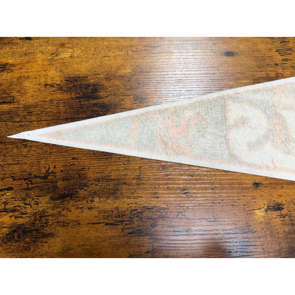 Vintage 90's NFL Cincinnati Bengals pennant