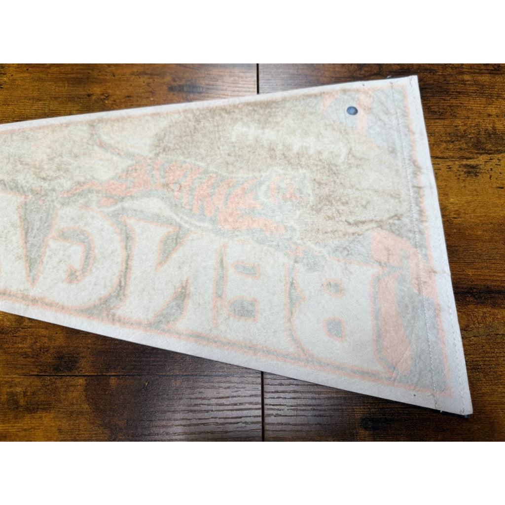 Vintage 90's NFL Cincinnati Bengals pennant