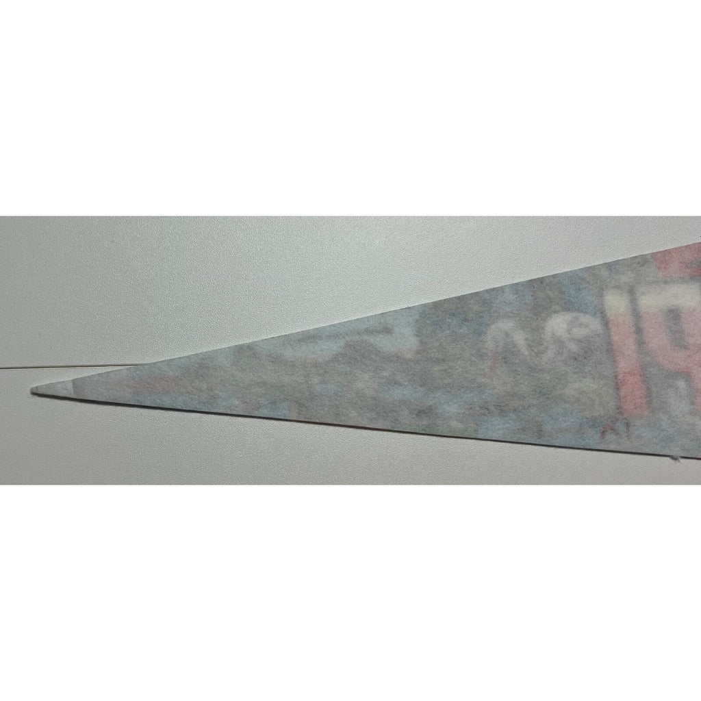 Vintage Mississippi pennant