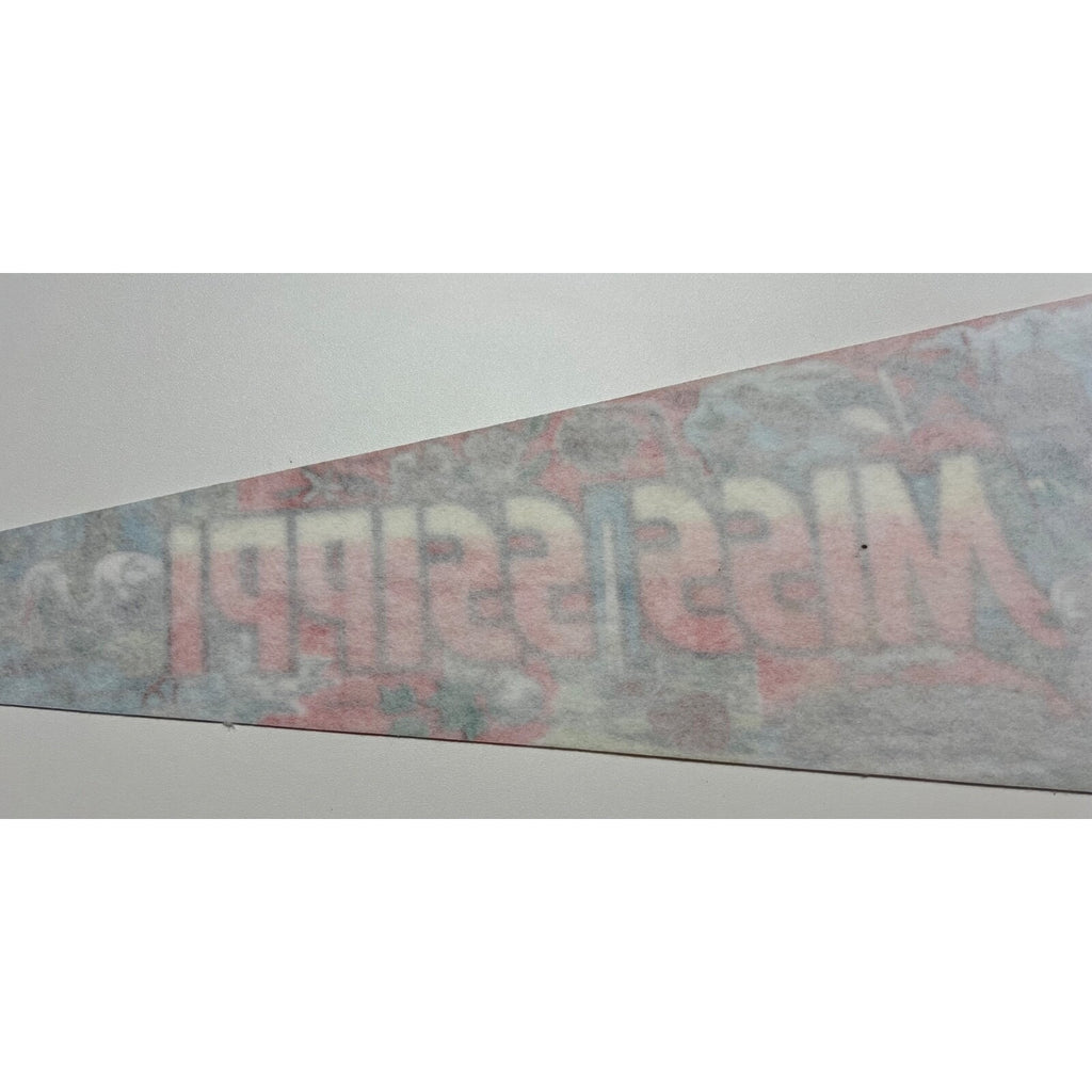 Vintage Mississippi pennant