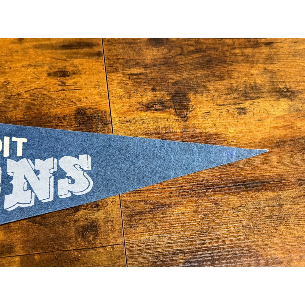 Vintage NFL Detroit Lions pennant