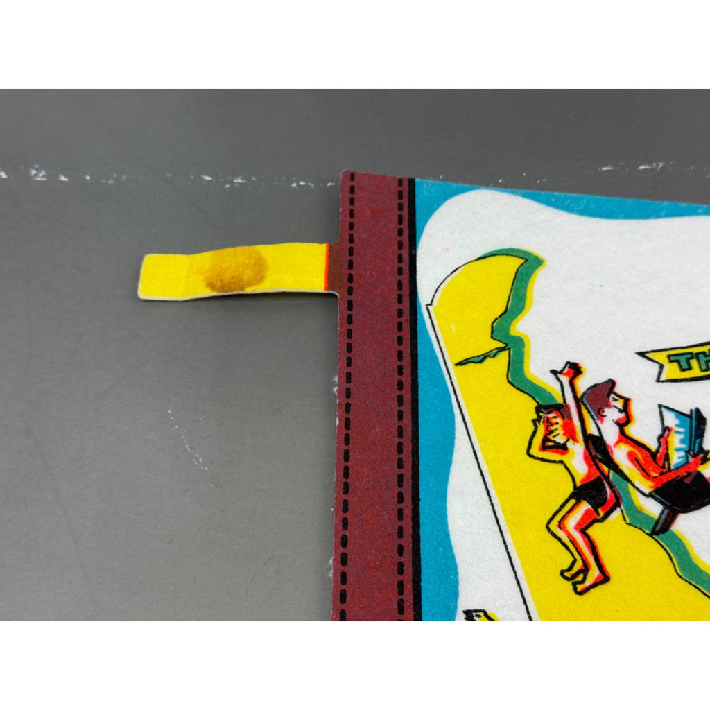 Vintage Delaware state pennant