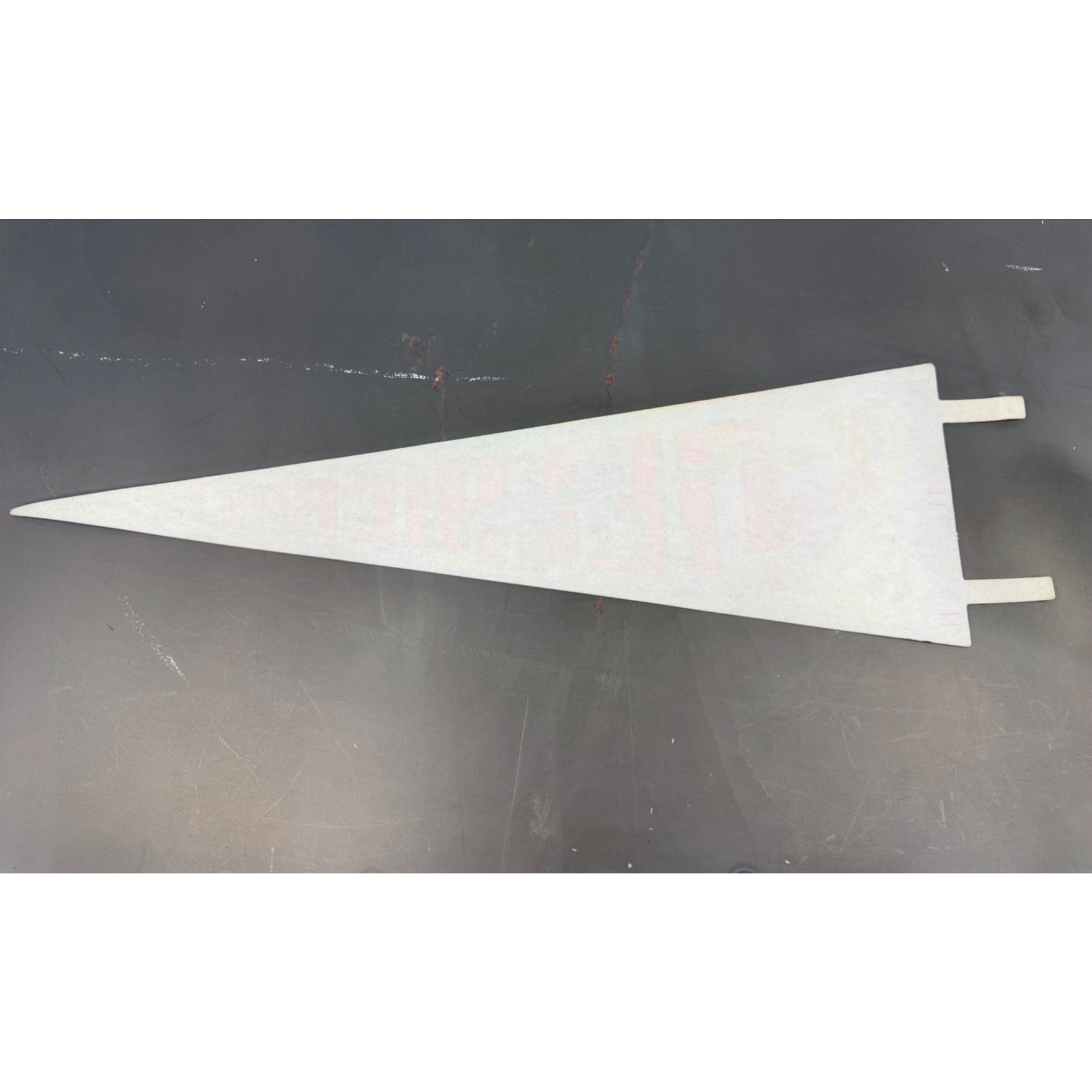 Vintage Delaware state pennant