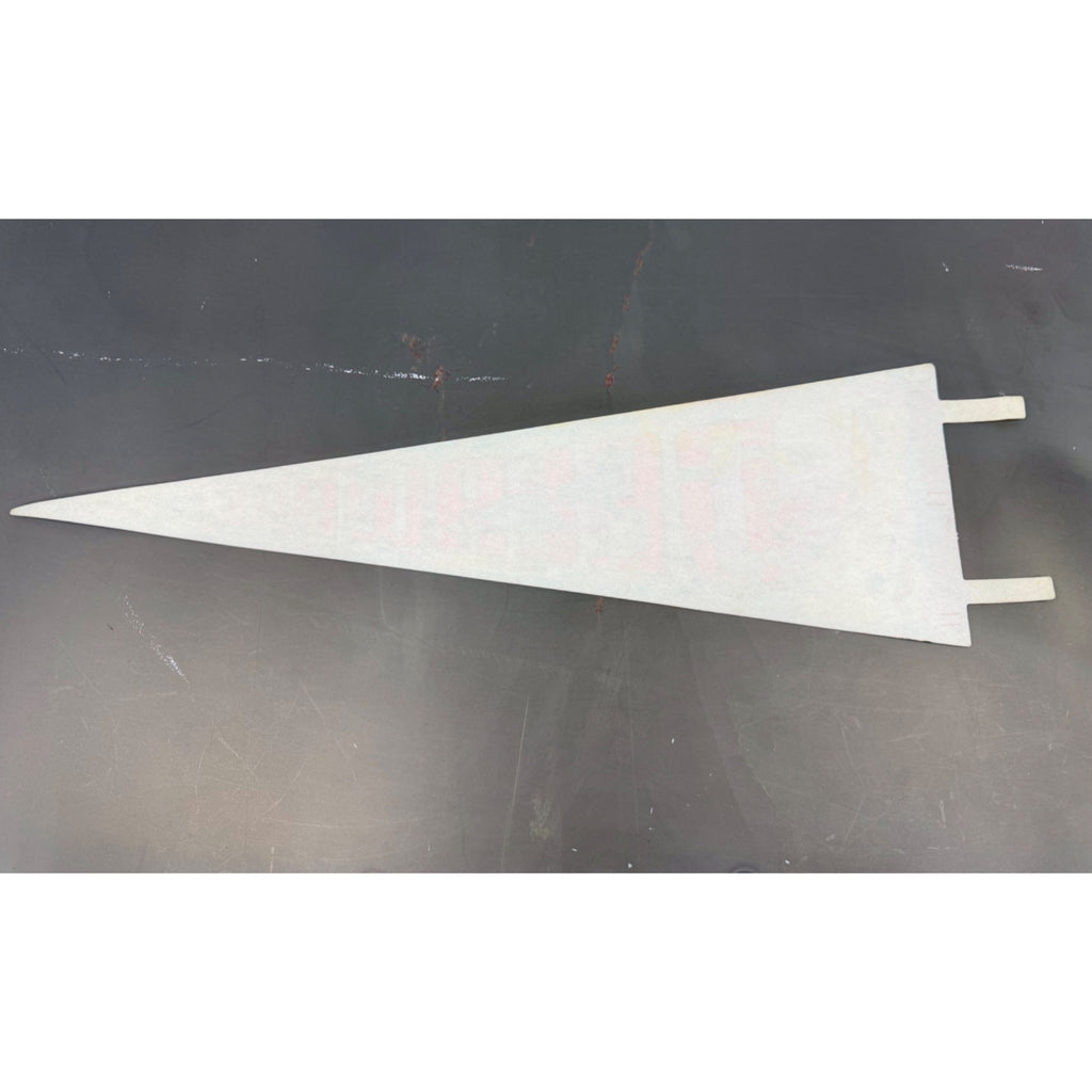 Vintage Delaware state pennant