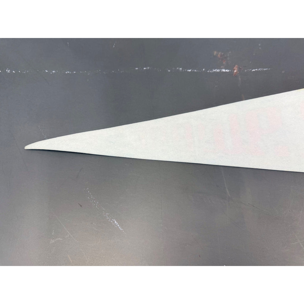 Vintage Delaware state pennant