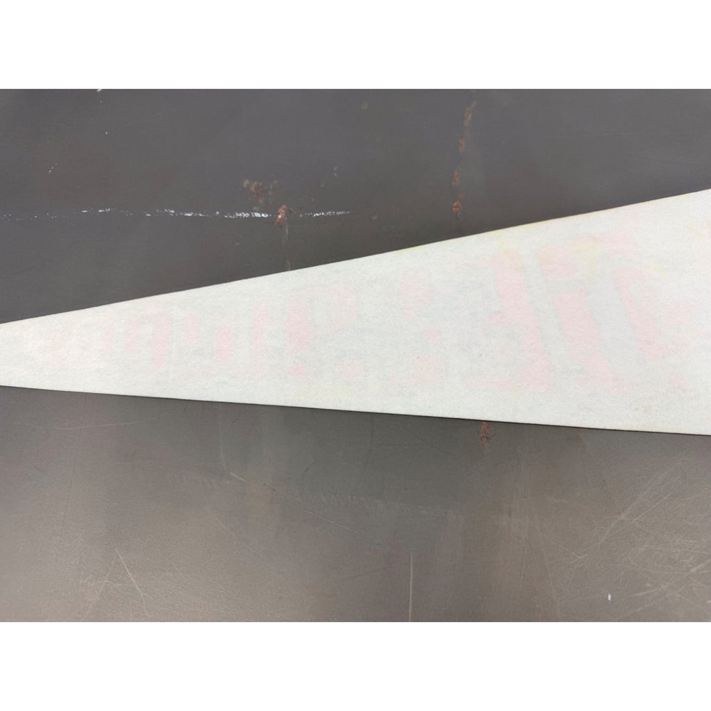 Vintage Delaware state pennant