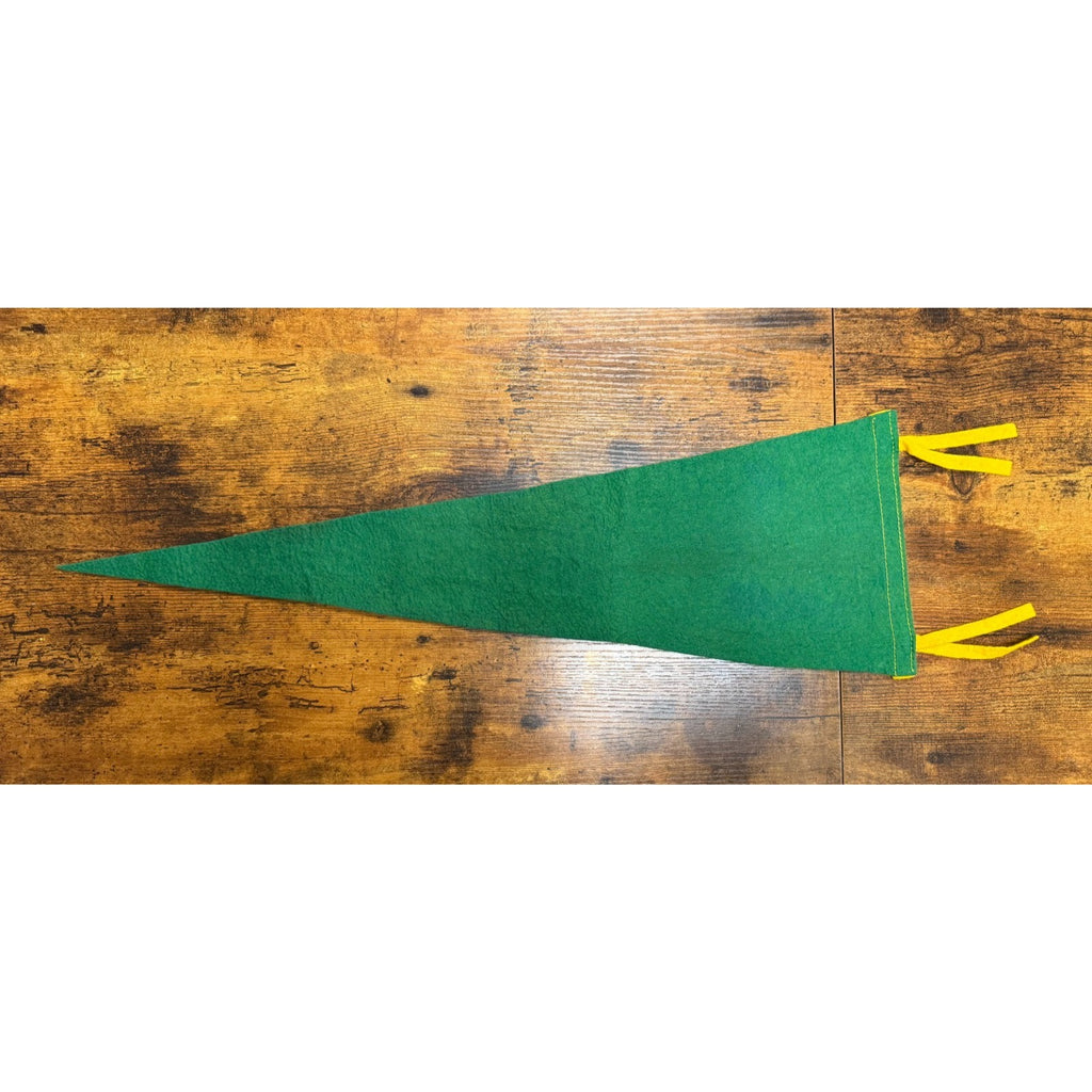 Vintage Skyline Caverns, Va pennant