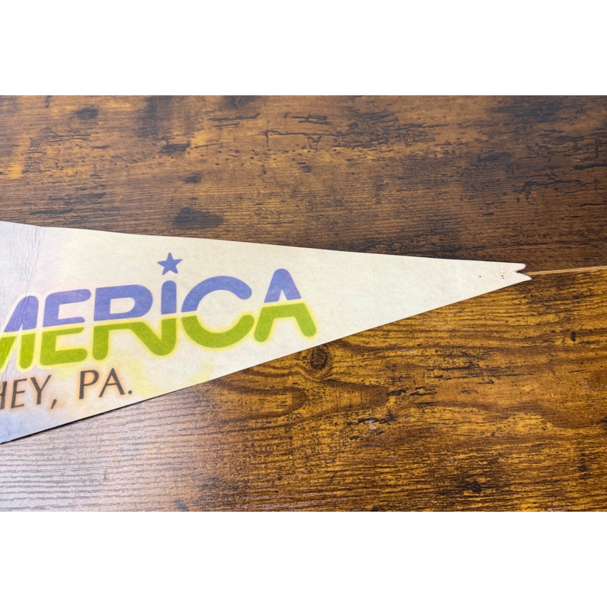 Vintage ZooAmerica Hershey park Pennant Flag With Colorful Wildlife Illustration