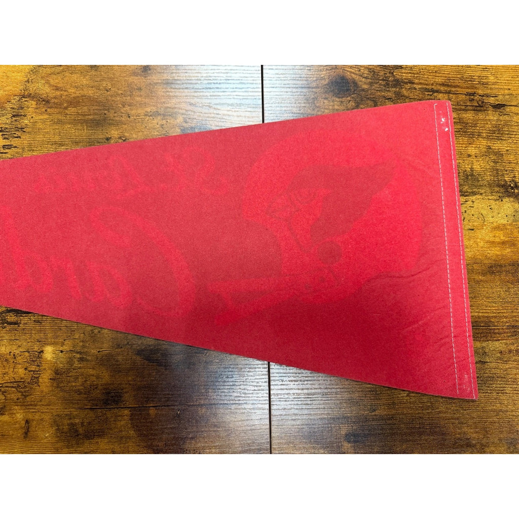 NFL St. Louis Cardinals Football  Vintage 30" Pennant 2 Bar Helmet