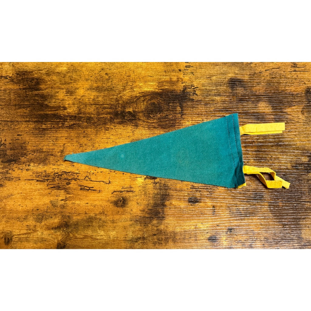 Vintage Fargo N.D. pennant