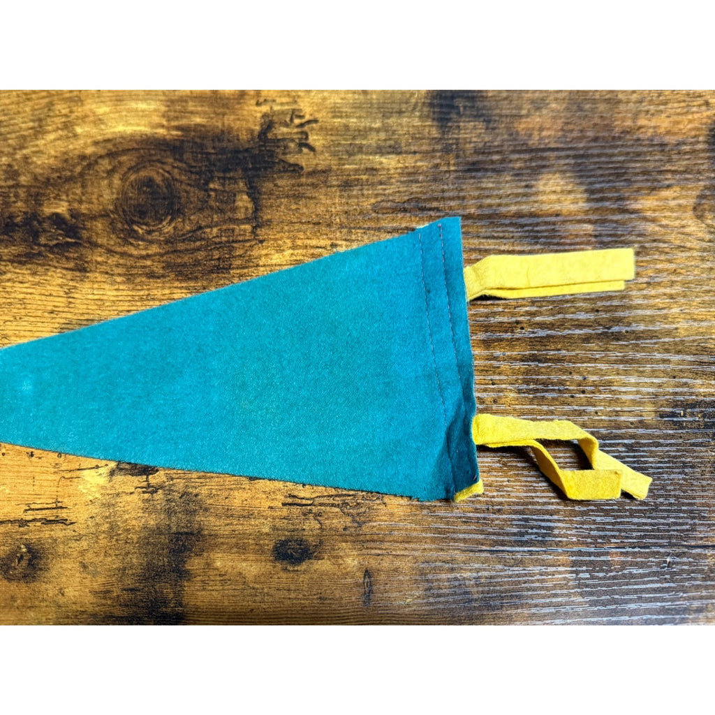 Vintage Fargo N.D. pennant