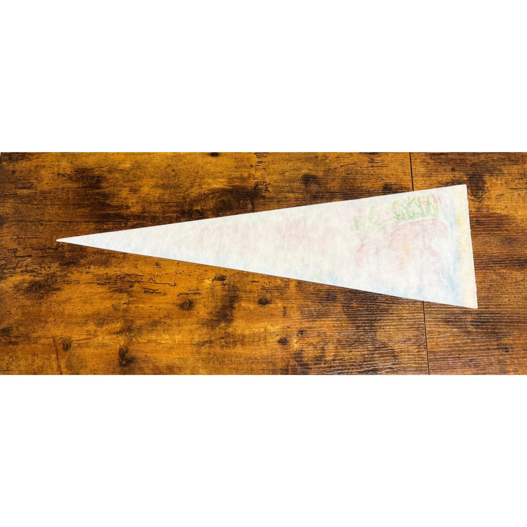 Vintage Bar Harbor, Maine pennant