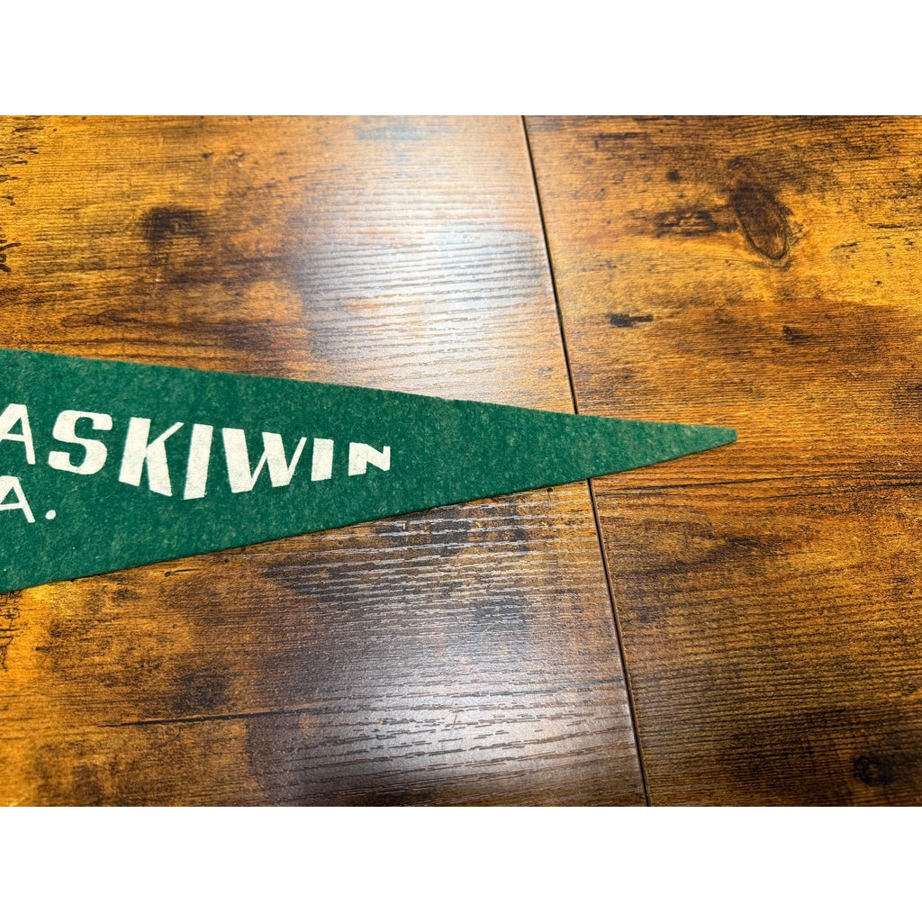 Vintage Wetaskiwin Alta., Canada pennant