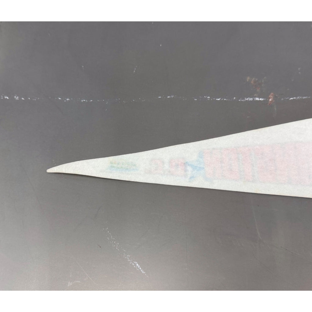 Vintage Washington, D.C. pennant