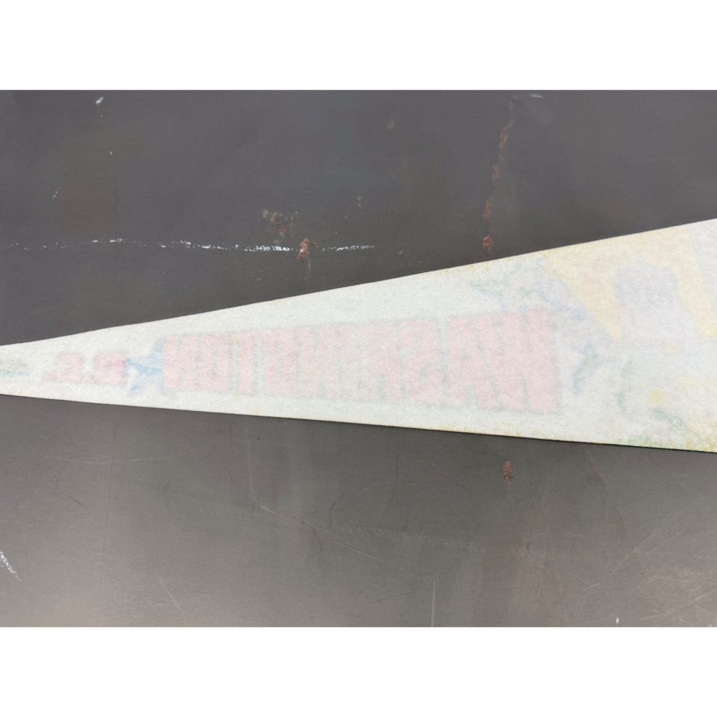 Vintage Washington, D.C. pennant