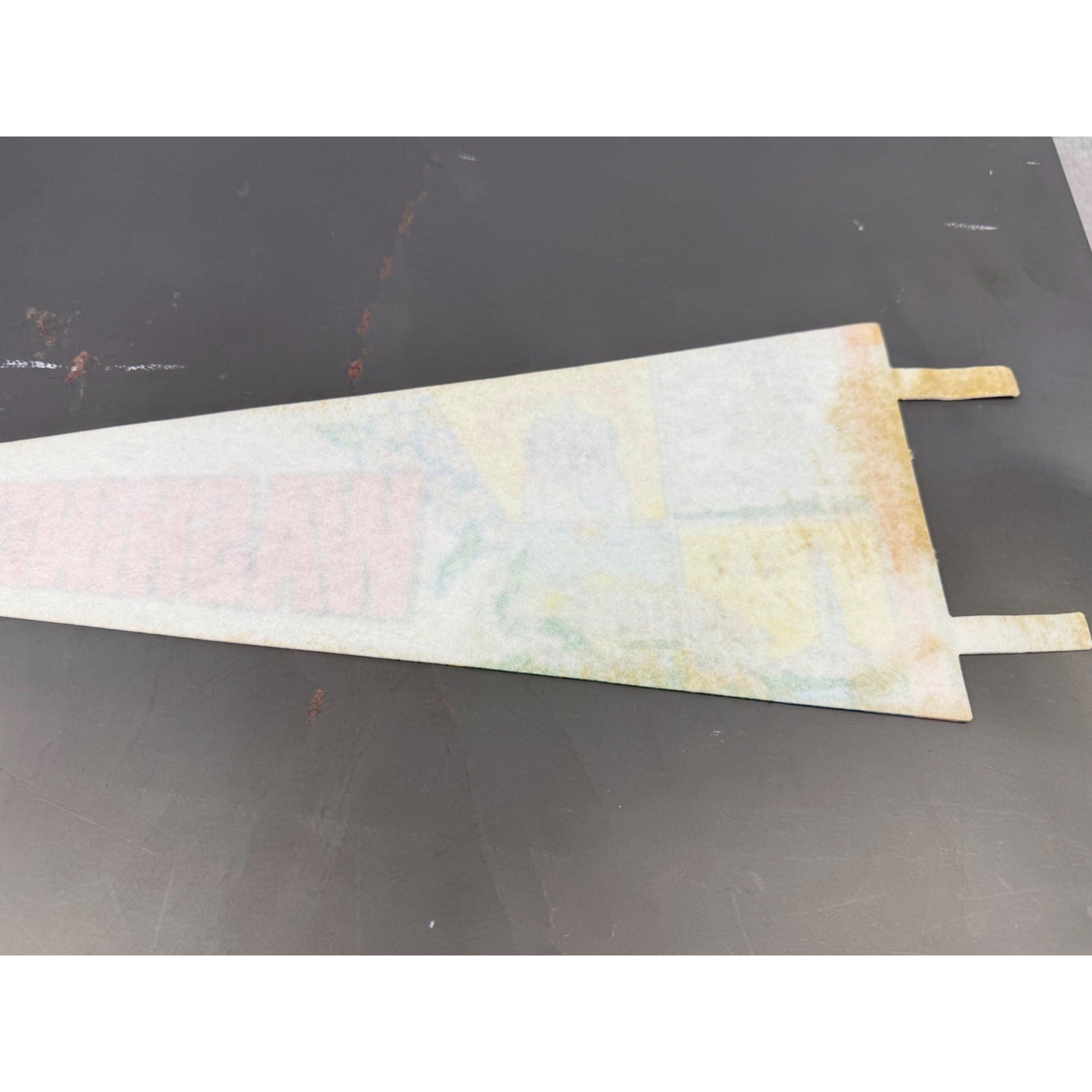 Vintage Washington, D.C. pennant