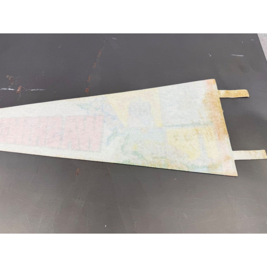 Vintage Washington, D.C. pennant