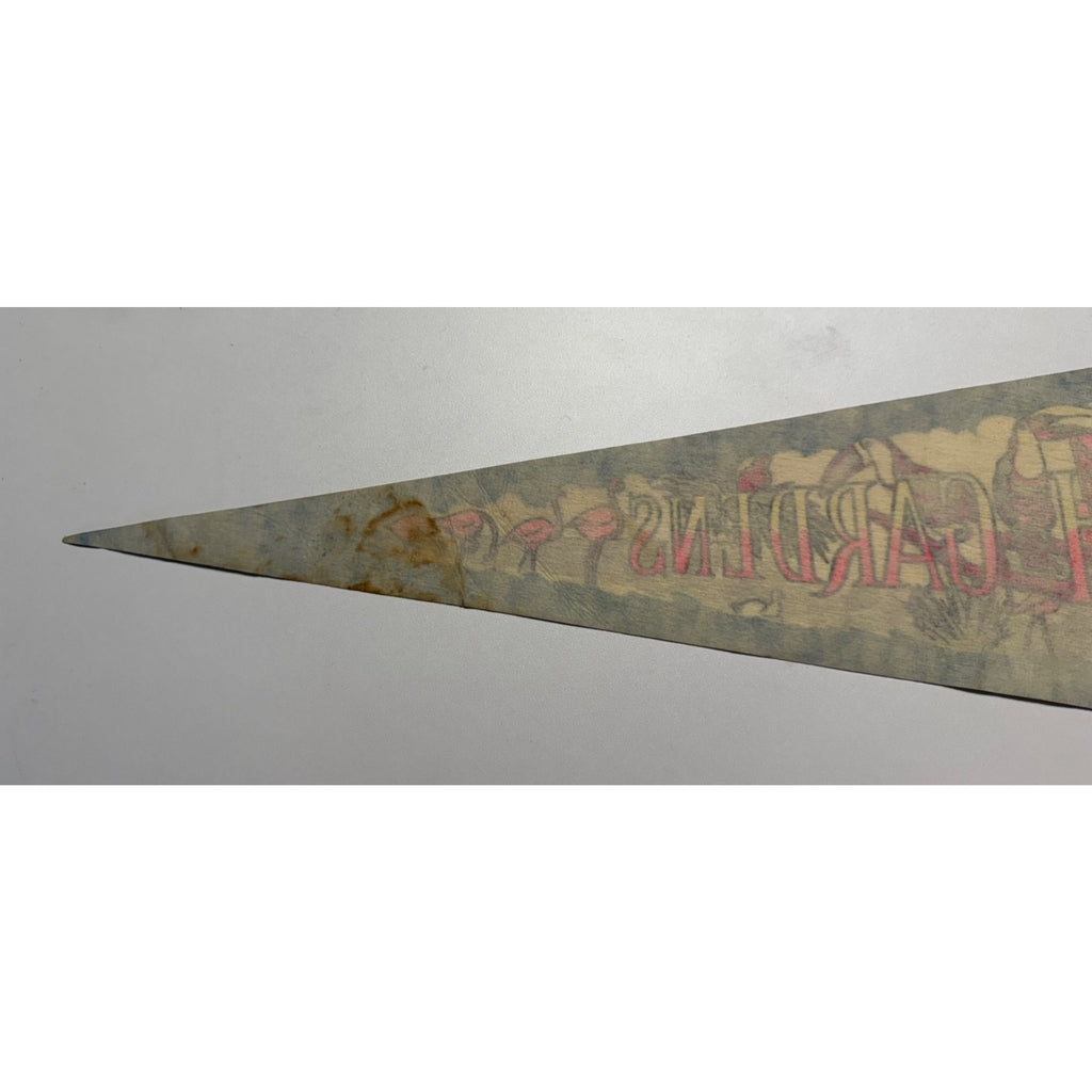 Vintage Busch Gardens pennant