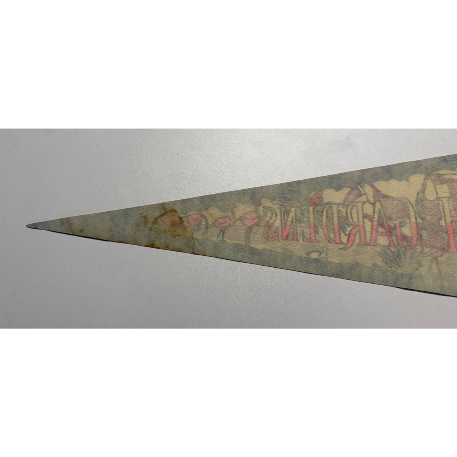 Vintage Busch Gardens pennant