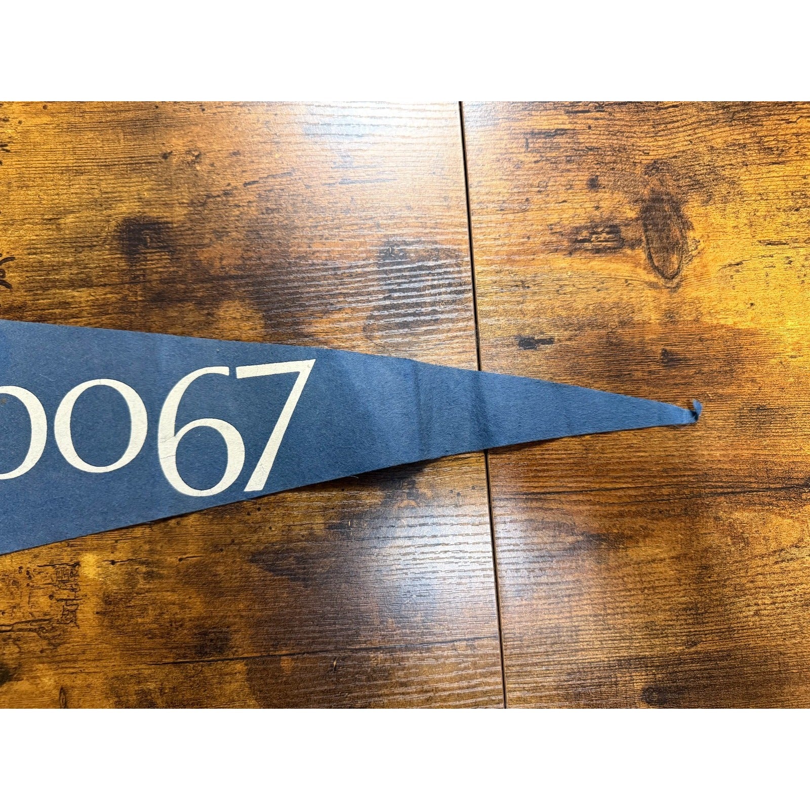 Vintage Expo '67 Montreal, Canada pennant