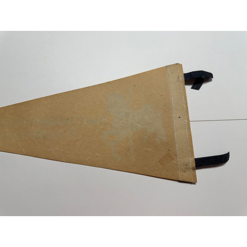 Vintage The Children's Museum of Indianapolis pennant