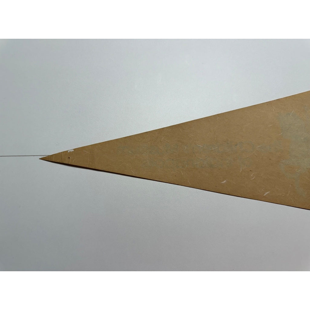 Vintage The Children's Museum of Indianapolis pennant