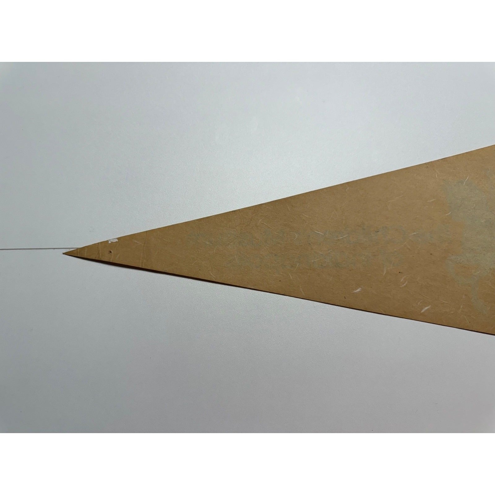Vintage The Children's Museum of Indianapolis pennant
