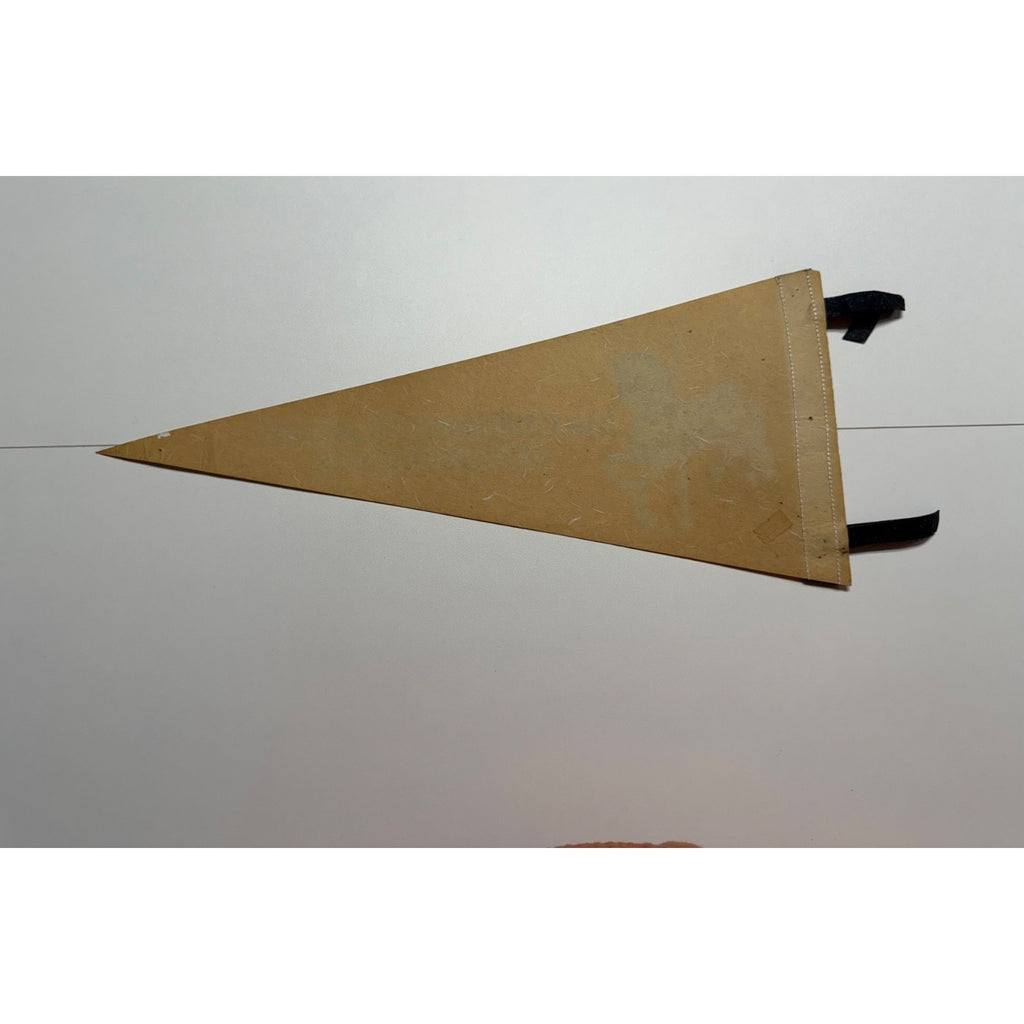 Vintage The Children's Museum of Indianapolis pennant