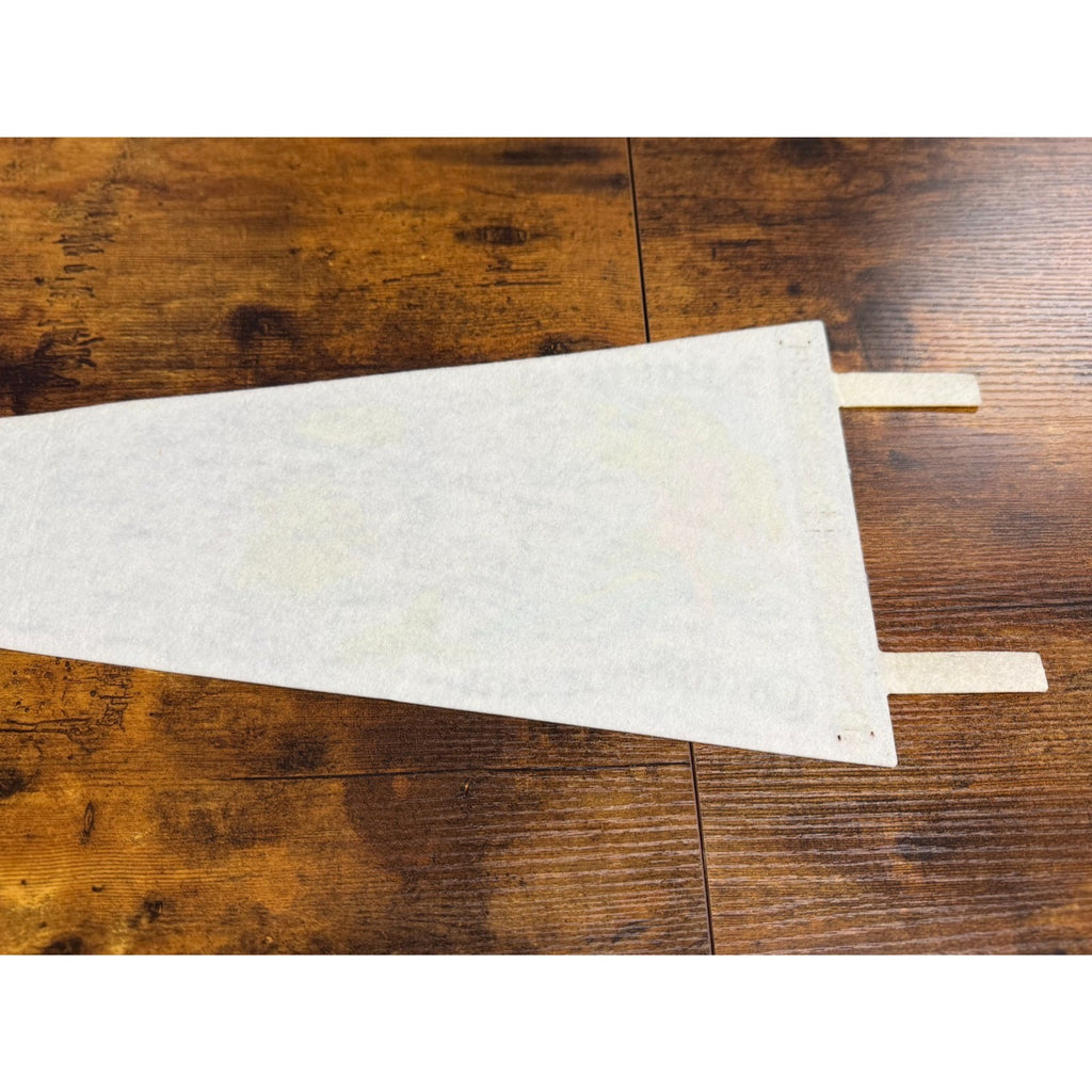 Vintage Atlantic Ocean and Caribbean Sea "The Best Bodies" pennant