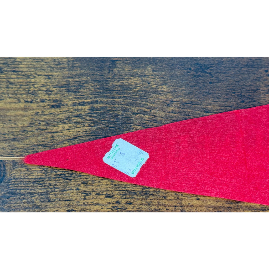 Vintage Skyline Drive Virginia Felt Pennant Shenandoah National Park