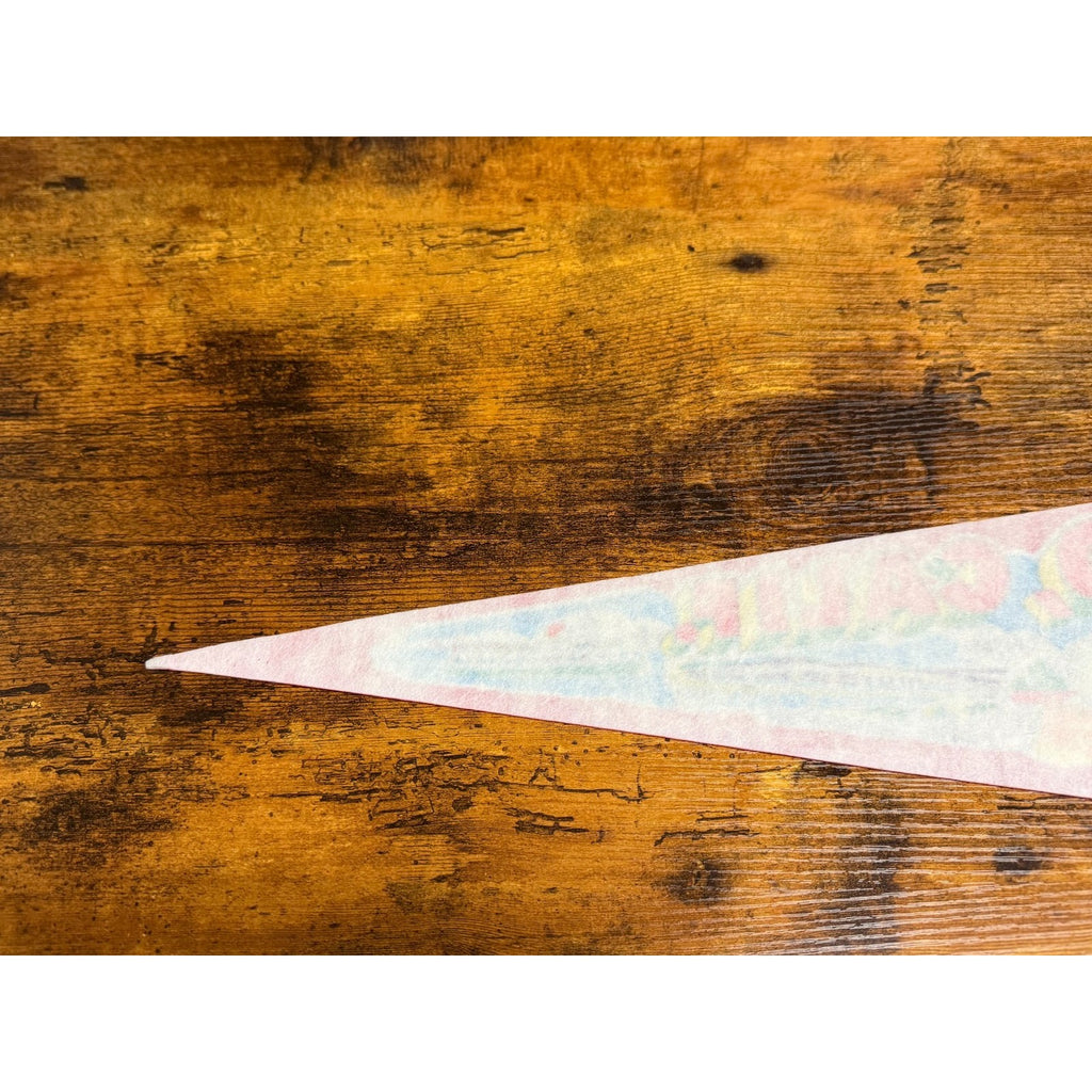 Vintage San Diego, California pennant
