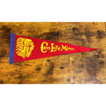 Vintage Cass lake, Minnesota pennant