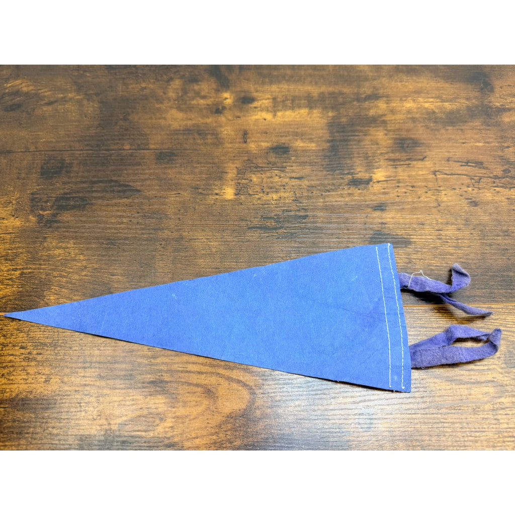 Vintage Air Force Academy Felt Pennant With Eagle Design 11.5 inches