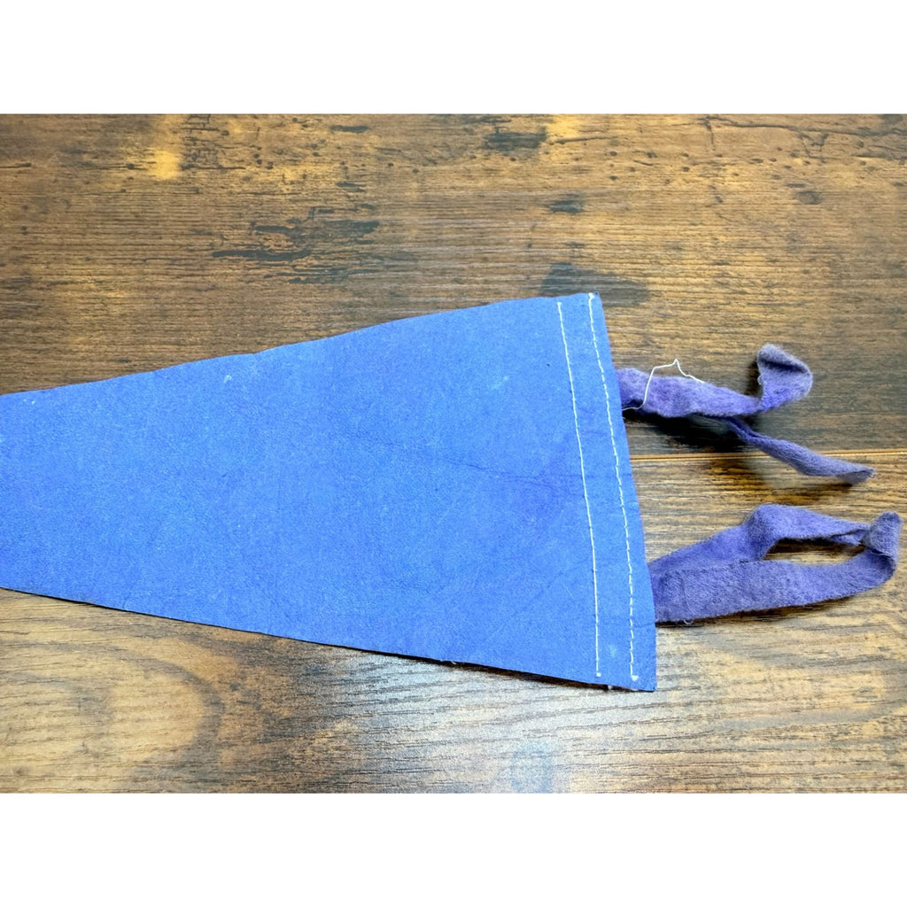 Vintage Air Force Academy Felt Pennant With Eagle Design 11.5 inches