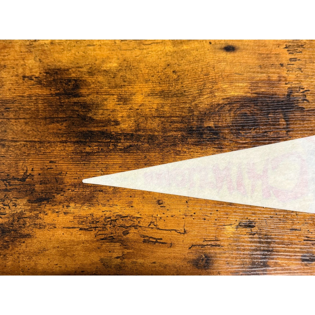 Vintage Chinatown, San Francisco pennant