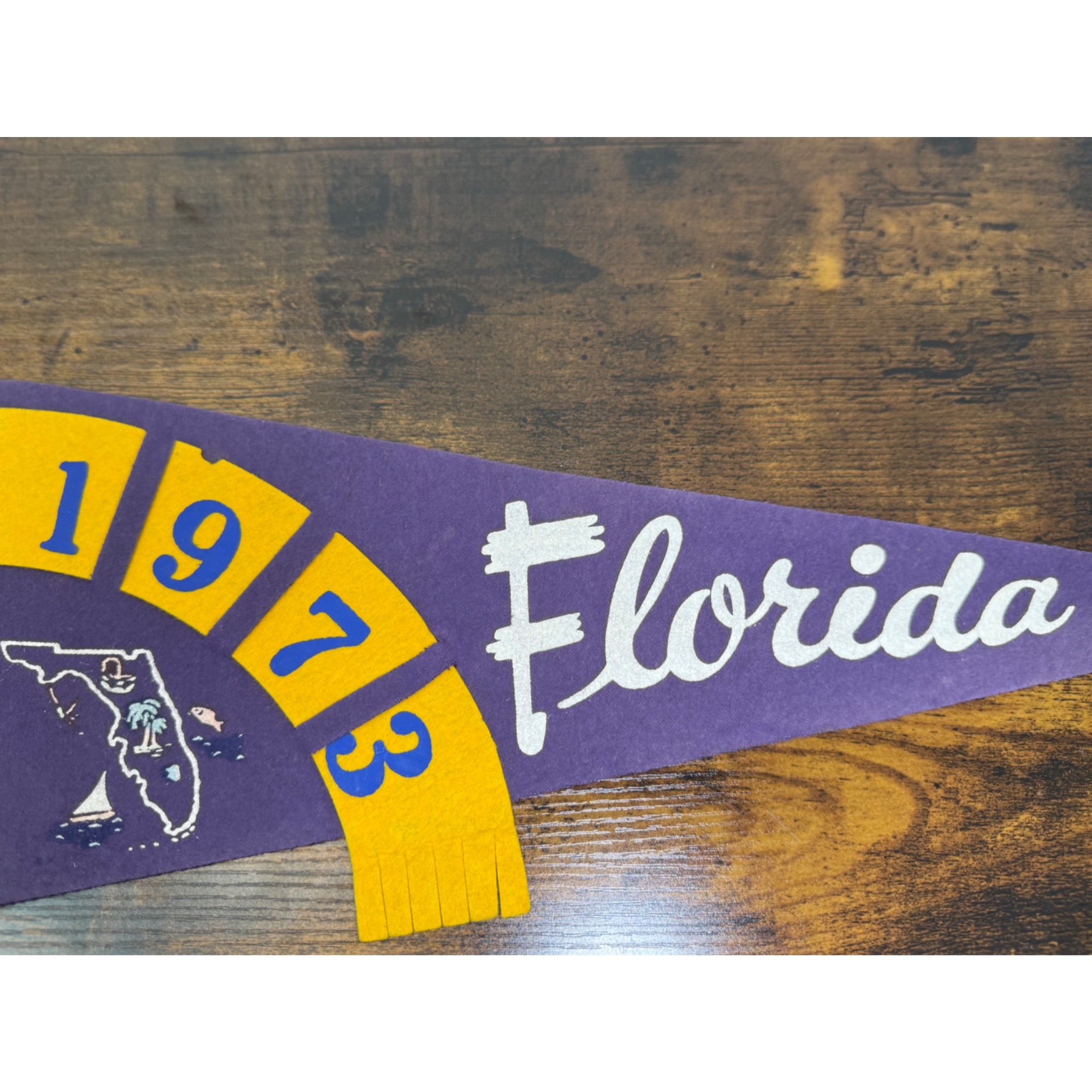 Vintage 1973 Florida Felt Pennant Purple & Gold With Map Design
