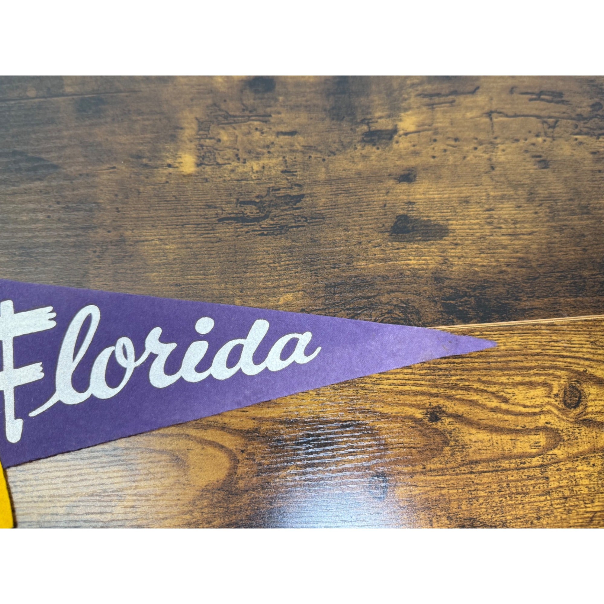 Vintage 1973 Florida Felt Pennant Purple & Gold With Map Design