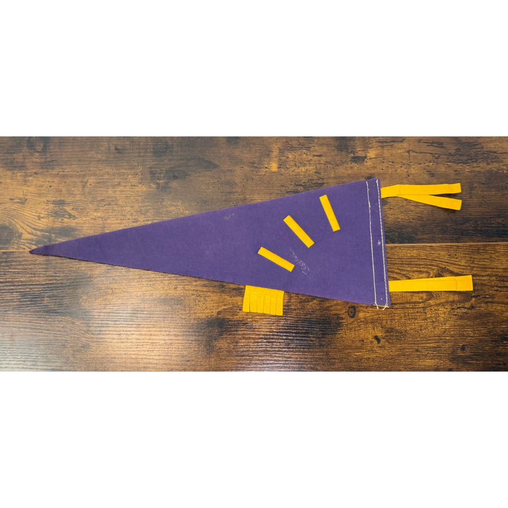 Vintage 1973 Florida Felt Pennant Purple & Gold With Map Design