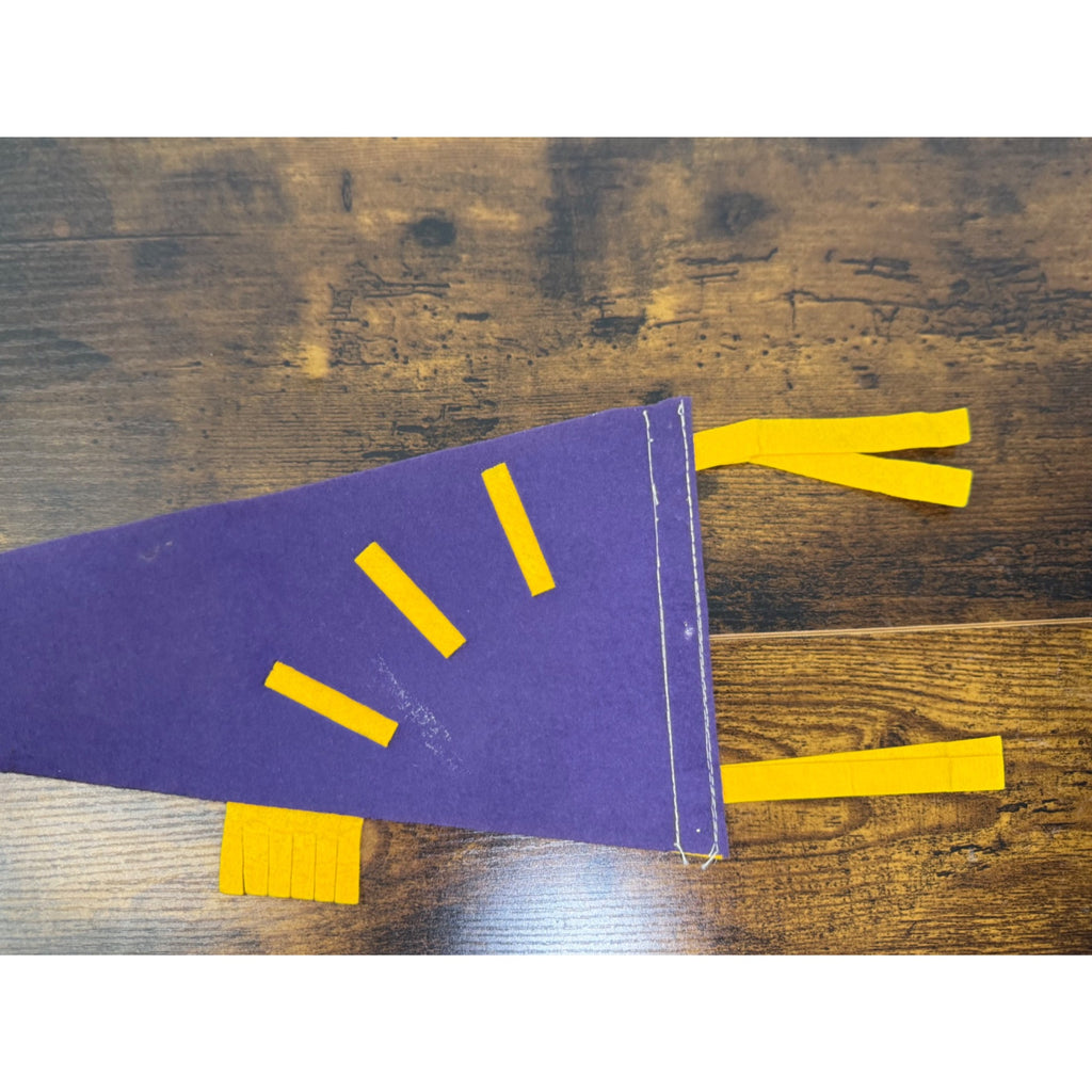 Vintage 1973 Florida Felt Pennant Purple & Gold With Map Design