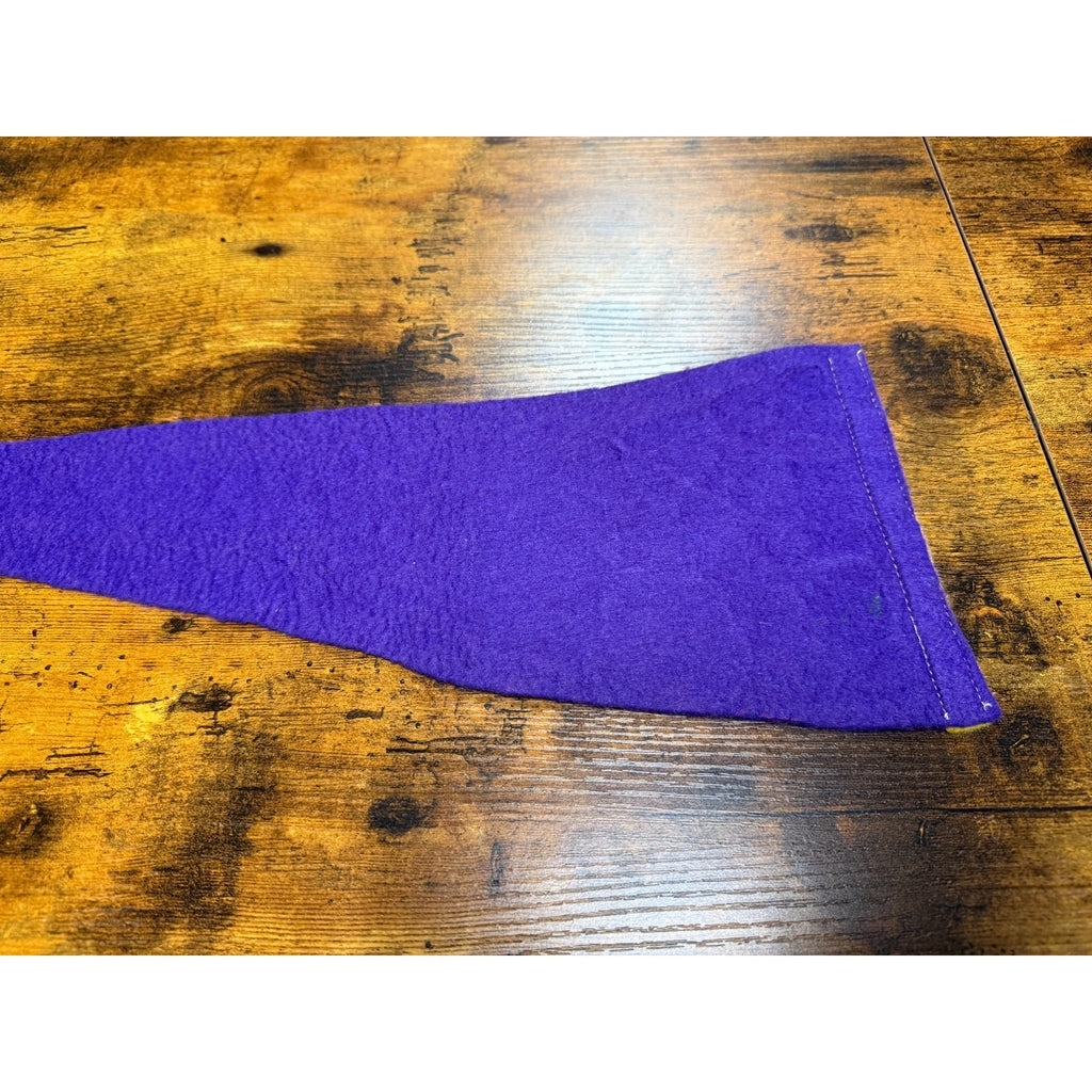 Vintage Banff Cableears on Mt. Norquay, Canada pennant