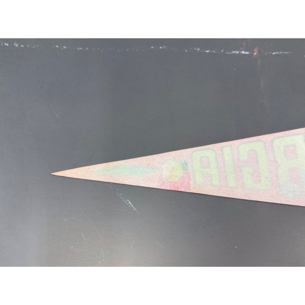 Vintage Georgia state pennant