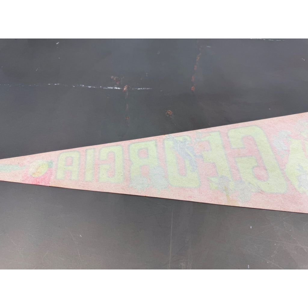 Vintage Georgia state pennant