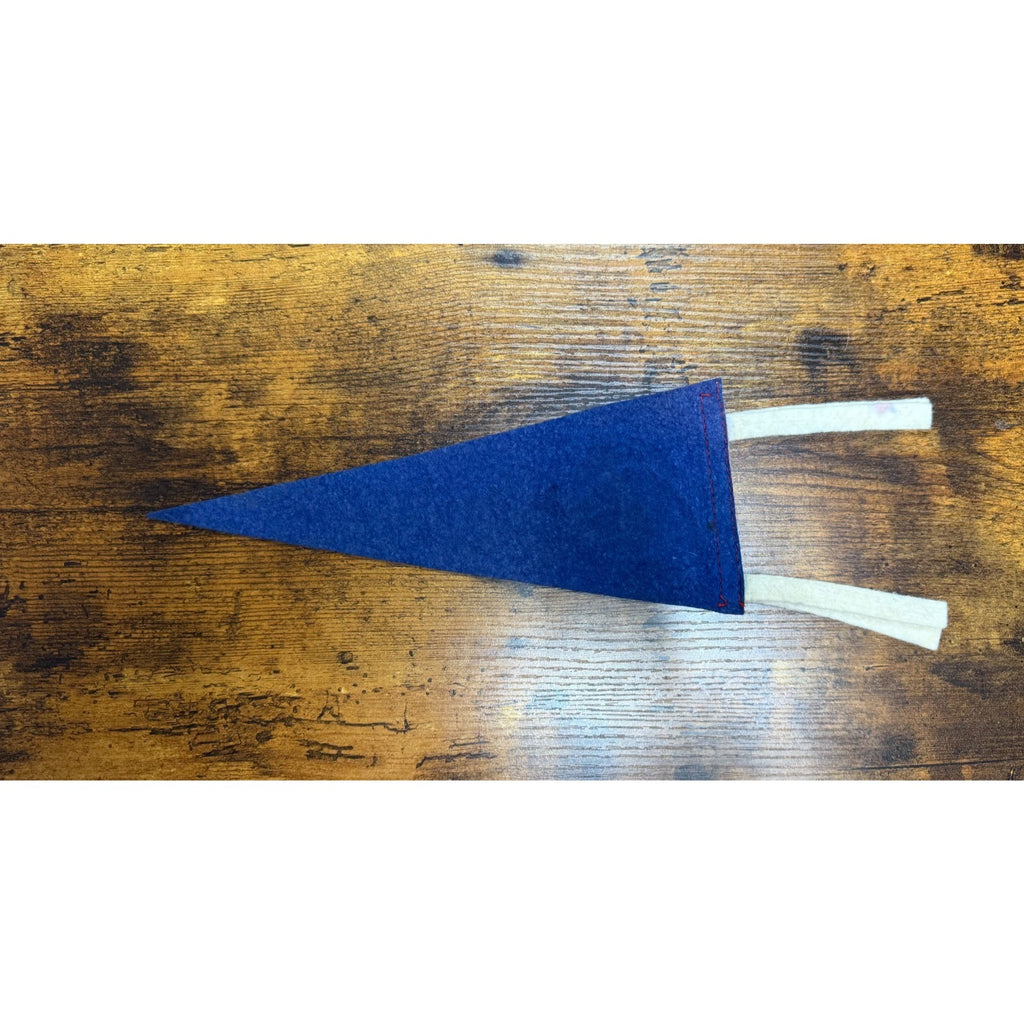 Vintage Marineland Florida mini pennant