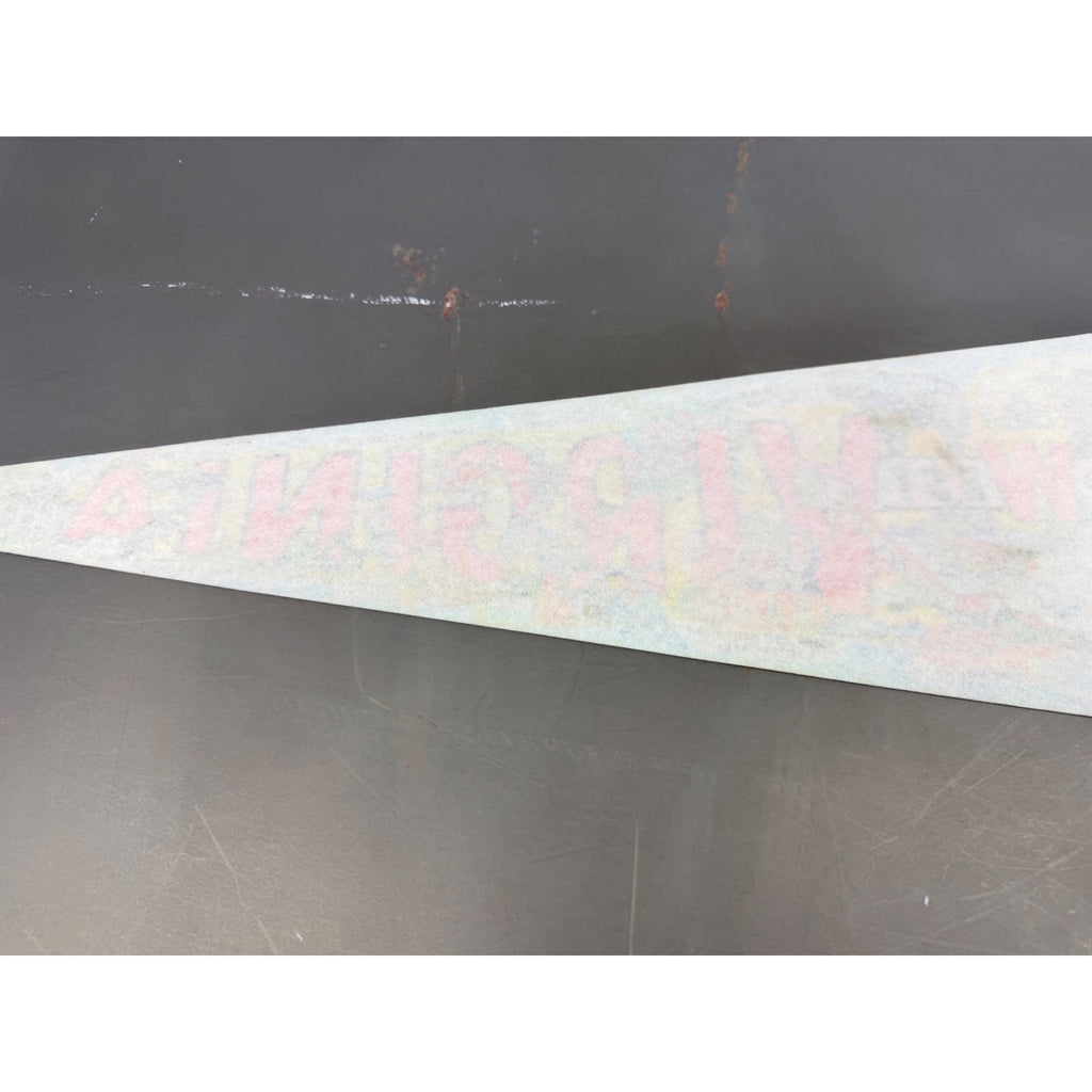 Vintage West Virginia state pennant