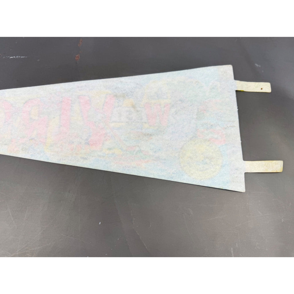 Vintage West Virginia state pennant