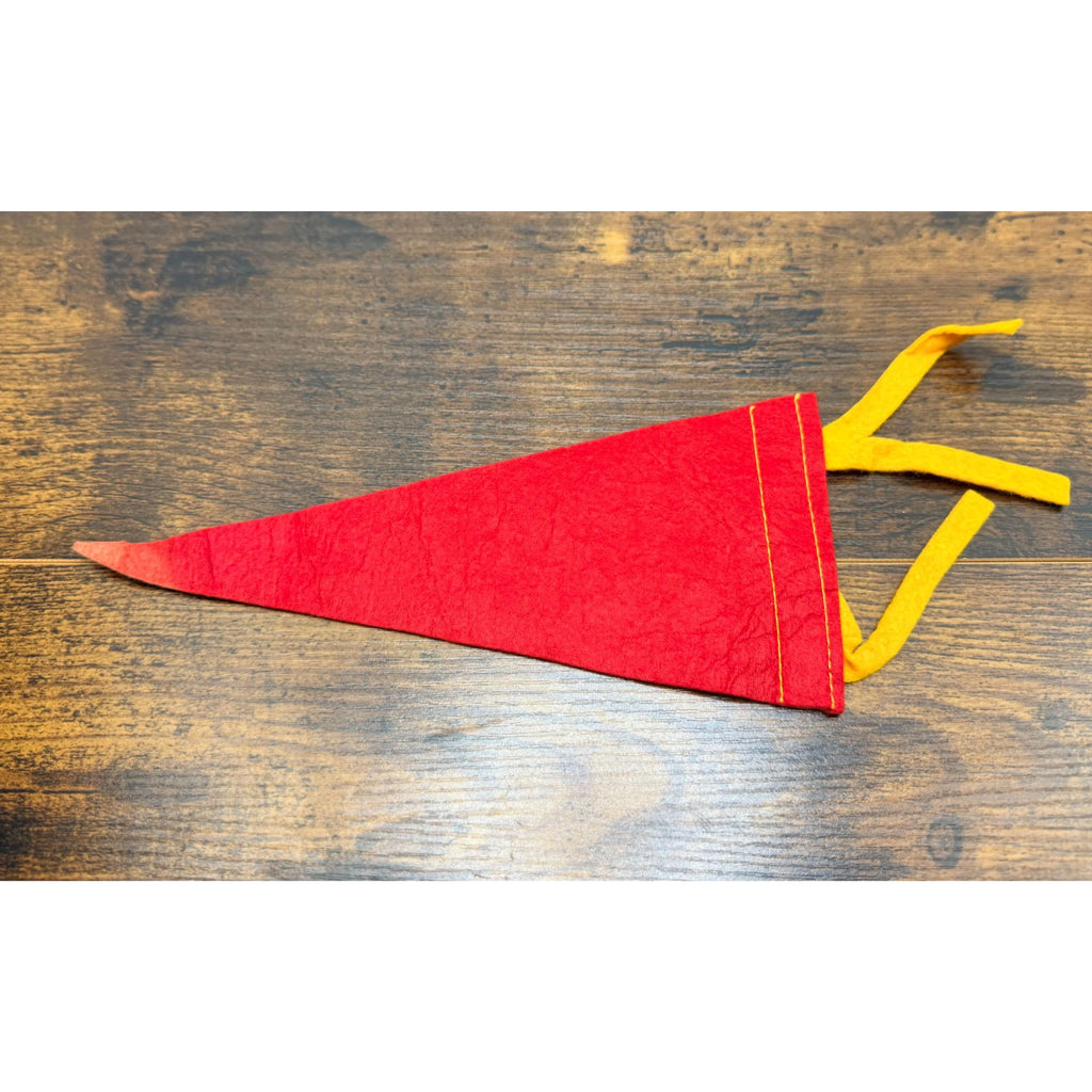 Vintage Penn's Cave PA Felt Pennant Collectible Souvenir Memorabilia 9 inches