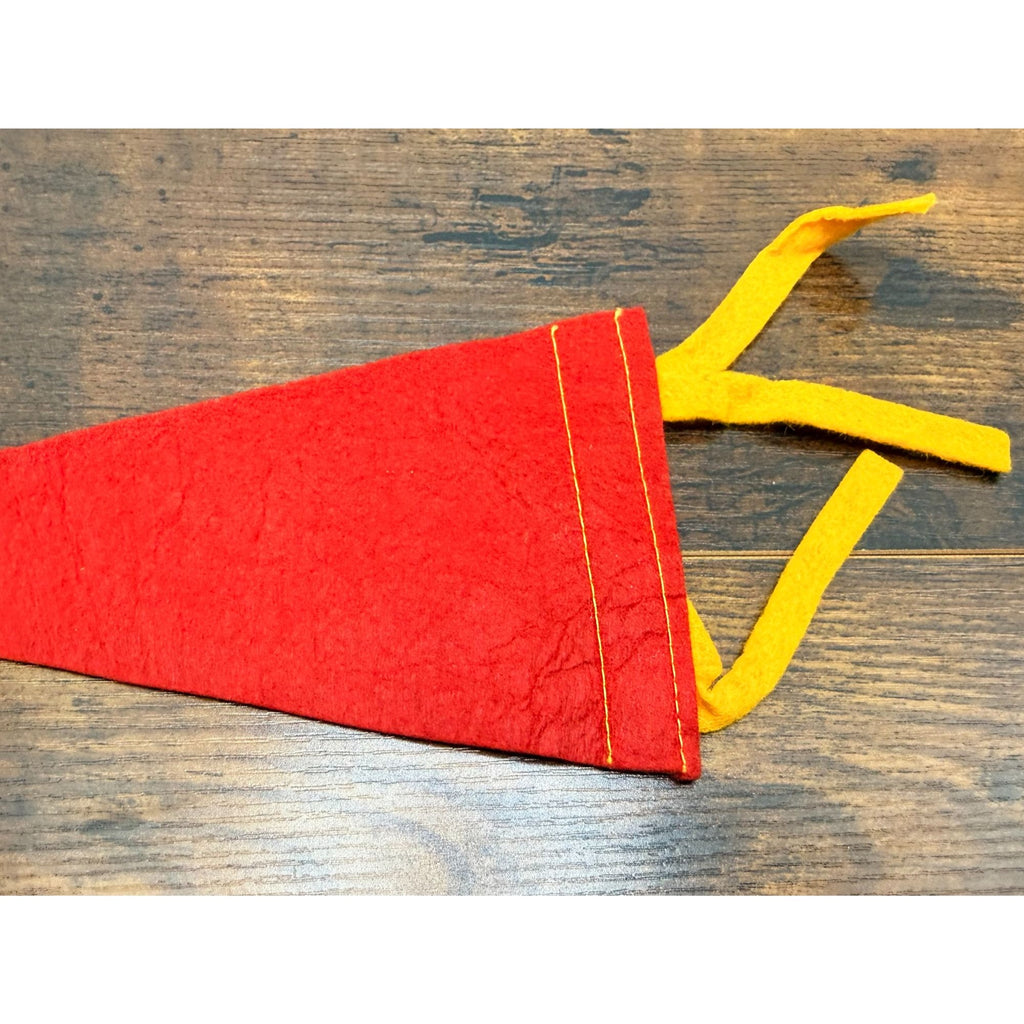 Vintage Penn's Cave PA Felt Pennant Collectible Souvenir Memorabilia 9 inches
